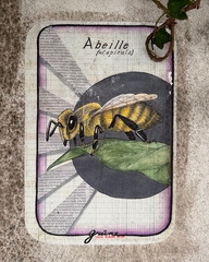  Abeille