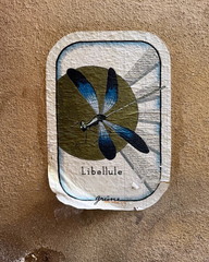  Libellule
